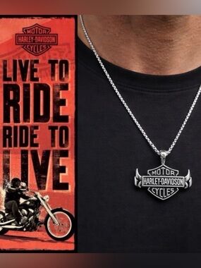🔥NEW RARE🔥 Harley-Davidson .925 Sterling/SS Bar & Shield Necklace, 22”
